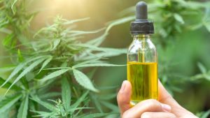 Important sense with the significance of balance cbd oil